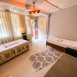 Dormitory Room Mixed
